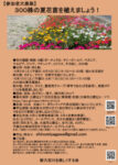 夏花苗植えチラシ20230516のサムネイル