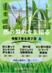 西の湖プロジェクトのサムネイル