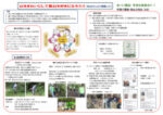 9,里山元気会のサムネイル